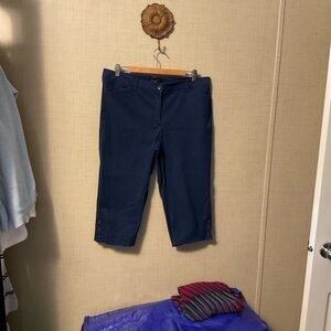 Talbots Deep Blue Skimmer Pants